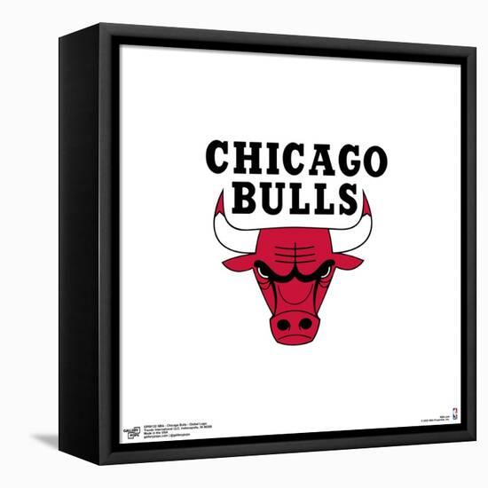 Gallery Pops NBA Chicago Bulls - Global Logo Wall Art-Trends International-Framed Stretched Canvas
