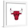 Gallery Pops NBA Chicago Bulls - Primary Logo Wall Art-Trends International-Framed Gallery Pops