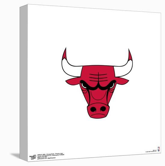 Gallery Pops NBA Chicago Bulls - Primary Logo Wall Art-Trends International-Stretched Canvas