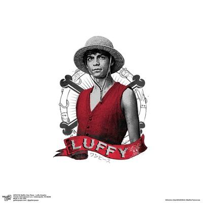 Gallery Pops Netflix One Piece - Going Merry Warship Graphic Wall