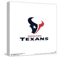 Gallery Pops NFL Houston Texans - Primary Mark Logotype Wall Art-Trends International-Stretched Canvas