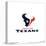 Gallery Pops NFL Houston Texans - Primary Mark Logotype Wall Art-Trends International-Stretched Canvas