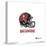 Gallery Pops NFL Tampa Bay Buccaneers - Drip Helmet Wall Art-Trends International-Stretched Canvas