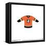 Gallery Pops NHL - Anaheim Ducks - Third Uniform Front Wall Art-Trends International-Framed Stretched Canvas