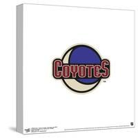Gallery Pops NHL Arizona Coyotes - Secondary Logo Mark Wall Art-Trends International-Stretched Canvas