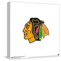 Gallery Pops NHL Chicago Blackhawks - Primary Logo Mark Wall Art-Trends International-Stretched Canvas