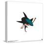 Gallery Pops NHL San Jose Sharks - Secondary Logo Mark Wall Art-Trends International-Stretched Canvas