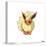 Gallery Pops Pokémon - Flareon Wall Art-Trends International-Stretched Canvas