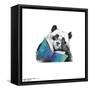 Gallery Pops Snowtap - Panda Reader Wall Art-Trends International-Framed Stretched Canvas