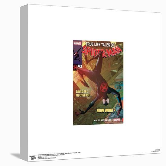 Gallery Pops Spider-Man: Across the Spider-Verse - Miles Morales True Life Tales Wall Art-Trends International-Stretched Canvas
