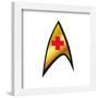 Gallery Pops Star Trek - Medical Insignia Wall Art-Trends International-Framed Gallery Pops