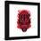 Gallery Pops Star Wars - Dark Side Darth Maul Duotone Badge Wall Art-Trends International-Framed Gallery Pops