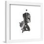 Gallery Pops Star Wars: Saga - Boba Fett Artistic Atmosphere Portrait Wall Art-Trends International-Framed Gallery Pops