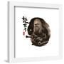Gallery Pops Star Wars: Saga - Chinese Painting Chewbacca Wall Art-Trends International-Framed Gallery Pops
