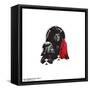 Gallery Pops Star Wars: Saga - Emperor Character Collage Wall Art-Trends International-Framed Stretched Canvas