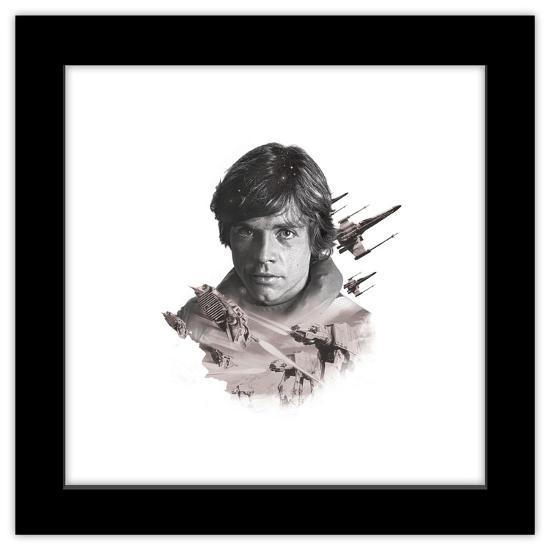 Gallery Pops, , large