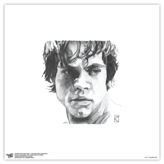 Gallery Pops, , large