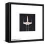 Gallery Pops Star Wars: Saga - Neutral Abstract X-Wing Fighter Wall Art-Trends International-Framed Stretched Canvas