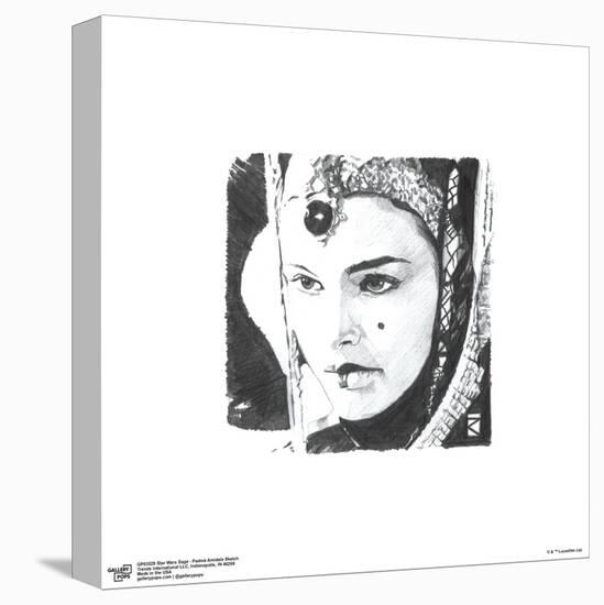 Gallery Pops Star Wars: Saga - Padmé Amidala Sketch Wall Art-Trends International-Stretched Canvas