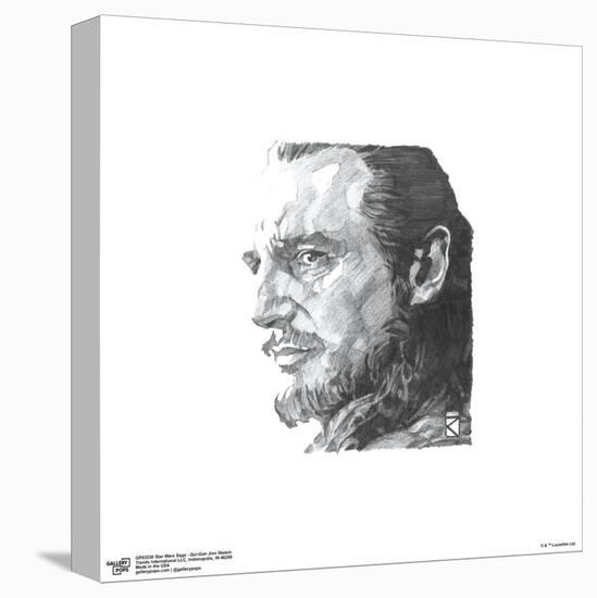 Gallery Pops Star Wars: Saga - Qui-Gon Jinn Sketch Wall Art-Trends International-Stretched Canvas