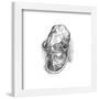 Gallery Pops Star Wars: Saga - Return of the Jedi Admiral Ackbar Sketch Wall Art-Trends International-Framed Gallery Pops