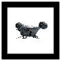 Gallery Pops Black Frame