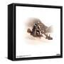 Gallery Pops Star Wars: The Mandalorian - Din Djarin - Desert Speeder Wall Art-Trends International-Framed Stretched Canvas