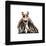 Gallery Pops Star Wars: The Phantom Menace - Jar Jar Binks Portrait Wall Art-Trends International-Framed Gallery Pops