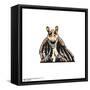 Gallery Pops Star Wars: The Phantom Menace - Jar Jar Binks Portrait Wall Art-Trends International-Framed Stretched Canvas