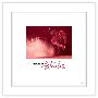 Gallery Pops White Frame
