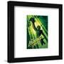 Gallery Pops Universal Monsters - César Moreno Creature Legend Of The River Wall Art-Trends International-Framed Gallery Pops