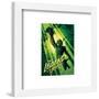 Gallery Pops Universal Monsters - César Moreno Creature Legend Of The River Wall Art-Trends International-Framed Gallery Pops