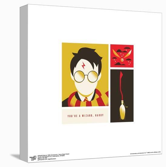 Gallery Pops Warner 100th Anniversary - Harry Potter Poster Wall Art-Trends International-Stretched Canvas