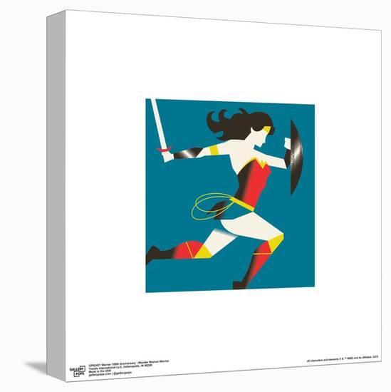 Gallery Pops Warner 100th Anniversary - Wonder Woman Warrior Wall Art-Trends International-Stretched Canvas