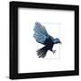 Gallery Pops Wednesday - Raven Wall Art-Trends International-Framed Gallery Pops