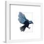 Gallery Pops Wednesday - Raven Wall Art-Trends International-Framed Gallery Pops