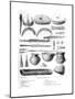 Gallic Utensils, 1882-1884-Charaire et fils-Mounted Giclee Print