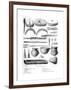 Gallic Utensils, 1882-1884-Charaire et fils-Framed Giclee Print