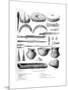 Gallic Utensils, 1882-1884-Charaire et fils-Mounted Giclee Print