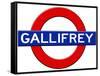 Gallifrey Subway Travel-null-Framed Stretched Canvas