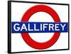 Gallifrey Subway Travel-null-Framed Poster