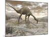 Gallimimus Dinosaur Discovering Eggs in the Desert-Stocktrek Images-Mounted Art Print