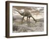 Gallimimus Dinosaur Discovering Eggs in the Desert-Stocktrek Images-Framed Art Print