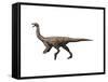 Gallimimus Dinosaur-null-Framed Stretched Canvas