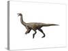 Gallimimus Dinosaur-null-Stretched Canvas