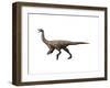 Gallimimus Dinosaur-null-Framed Art Print