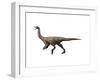 Gallimimus Dinosaur-null-Framed Art Print