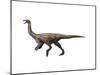 Gallimimus Dinosaur-null-Mounted Art Print