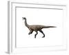 Gallimimus Dinosaur-null-Framed Art Print