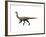 Gallimimus Dinosaur-null-Framed Art Print